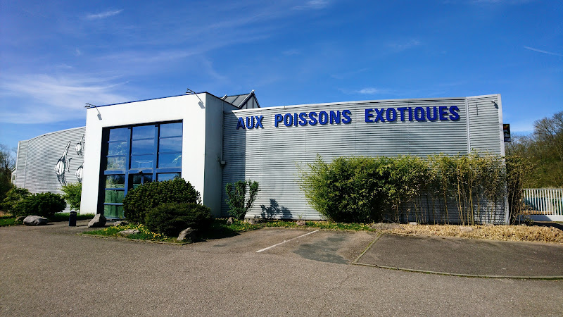 photo Aux Poissons Exotiques Saint-Julien-lès-Metz