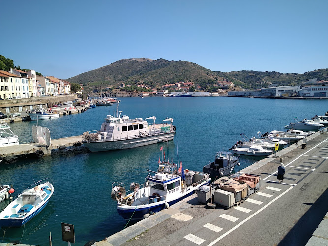 photo LA BOUTIQUE DU PECHEUR Port-Vendres