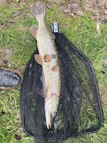 photo L'Aigle Pêcheur 86 Chasseneuil-du-Poitou