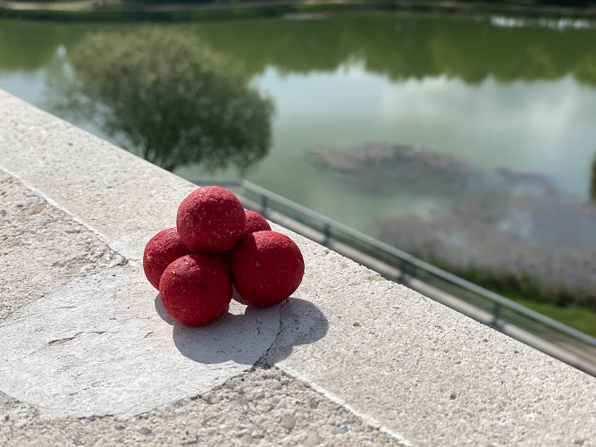 photo L'as de pêche Chasseneuil-du-Poitou