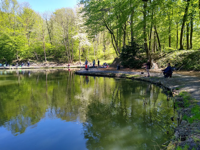 photo Domaine Multipêche de la Sablonneuse Wahagnies