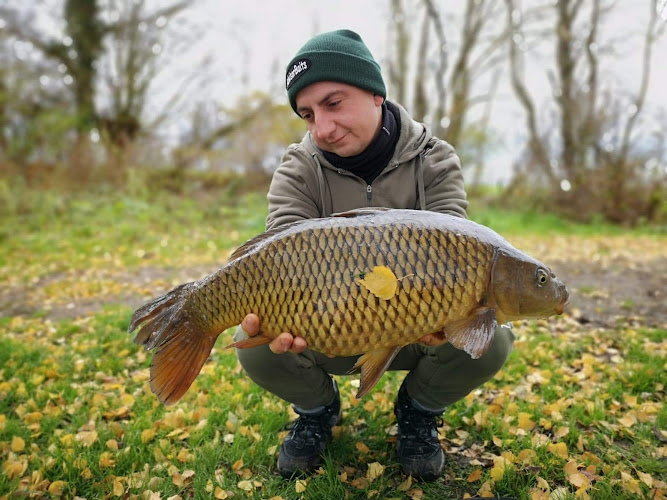 photo Les Etangs de Masnières Masnières