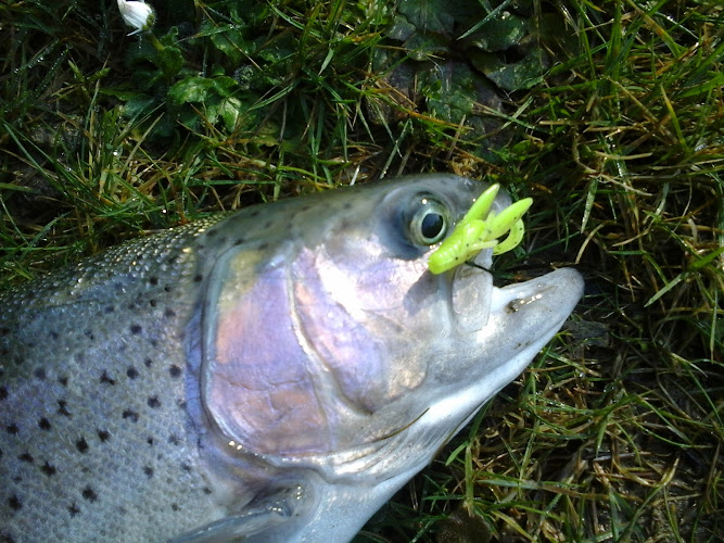 photo AUX 3 ETANGS Le Breuil-en-Auge