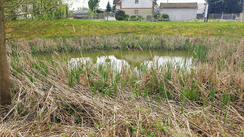 photo Passion Pêche 89 Joigny